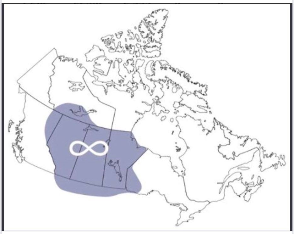 Metis Map