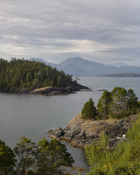 Yuquot Bay (Friendly Cove)