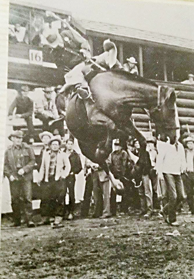 Wilton on horse