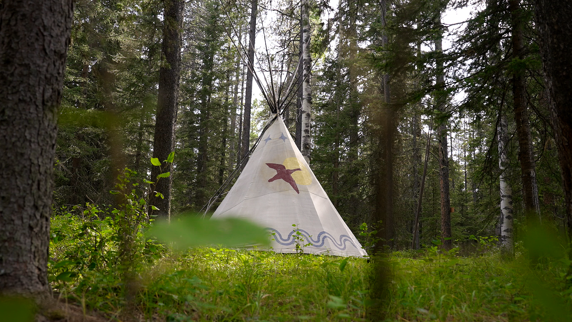 A tipi stands in a meadow surrounded by trees.