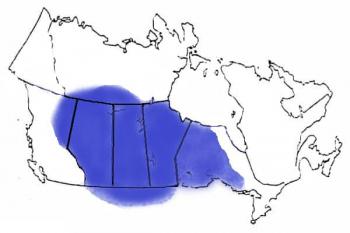 1983 map