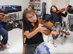 fiddle