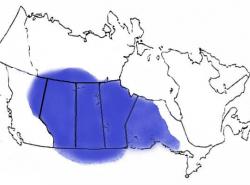 1983 map