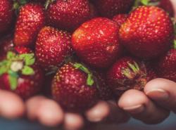 strawberries