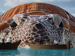 A giant turtle takes over the photo, but then we see people floating under the turtle's nose in two traditional west coast canoes.